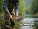 catch-and-release-im-fliegenfischen-die-kunst-des-zuruecksetzens