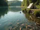 die-vielfalt-der-fischarten-in-rheinland-pfalz-entdecken