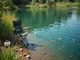 fischarten-im-teich-alles-was-du-wissen-musst